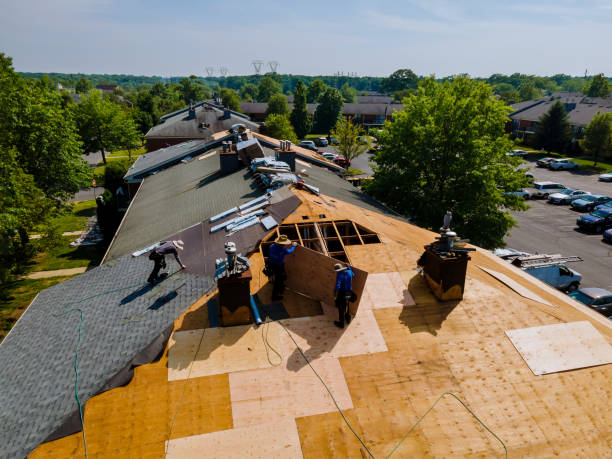 Best Flat Roof Repair Services  in Mantua, VA