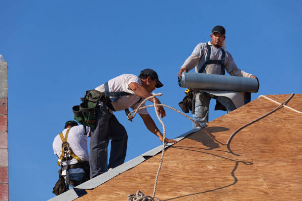 Best Roof Leak Repair  in Mantua, VA