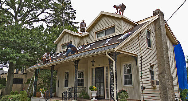 Best Metal Roofing Contractor  in Mantua, VA